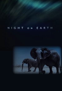 Notte sul Pianeta Terra